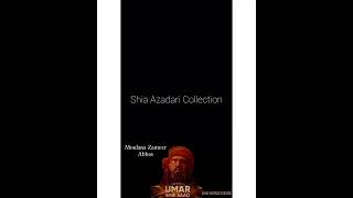 || Umre saad koun tba || Mulana Zameer Abbas || #shorts #wattsappstatus #2022status #viral