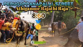 Athiganoor Rajathi Raja 🥇 reading perugoppanapalli street #erudhukattu #bull #eruthukattulivetoday