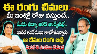 ఇంట్లోకి నల్ల చేమలు వస్తే || YVSS GIRI ||  Anchor Geethanjali #sumantvspirituallife