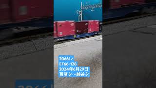 ＨＯゲージ　ＪＯＴ新青空コンテナ積載２０６６レ　２０２４年６月２９日　 #貨物列車 　 #鉄道模型　 #ef66サメ