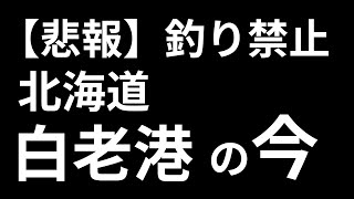 【悲報】釣り禁止‼北海道白老港の今