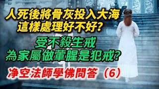 人死後將骨灰投入大海，好不好？功夫成片的人應是什麼樣子？吃三淨肉的罪大、還是吃雞蛋的罪大？【净空法師學佛問答（6）】