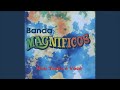 magnÍficos delírio de amor com letra