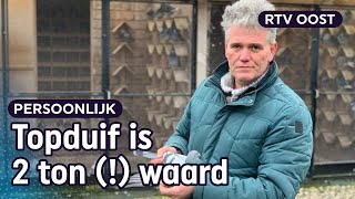 Held! Harold zet achtervolging in om duivendieven te stoppen | RTV Oost