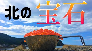 【知床】これがあるから鮭釣りやめらんねぇ～～～～～～【鮭釣り】その４