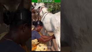 दुनियां के 5 सबसे महंगे दूध 😱| Top 5 Expensive Milk In The World #shorts