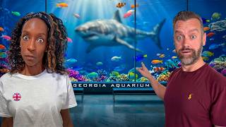 Brits Try America's BIGGEST Aquarium In Atlanta! Was It Worth It?