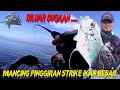 DILUAR DUGAAN ... MANCING PINGGIRAN PANTAI STRIKE IKAN BESAR DAN STRIKE BERTUBI-TUBI | MICROJIG 10GR