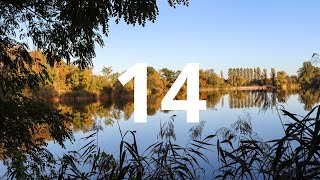 14 Second Countdown Timer With Alarm Sound At the End(Simple Beep)
