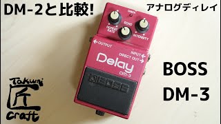 BOSS DM-3 Delay Review