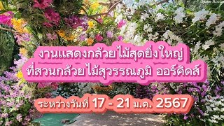 เที่ยวงานเเสดงกล้วยไม้สุดยิ่งใหญ่ ที่สวนกล้วยไม้สุวรรณภูมิ ออร์คิดส์ วันที่17 - 21 ม.ค. 2567