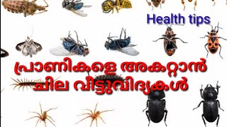 പ്രാണികളെ അകറ്റാൻ ചില വീട്ടുവിദ്യകൾ.Health tips...