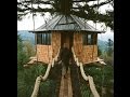 7 Tiny Tree Houses for Adults That Your Inner Child Will Love