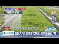 20200522中天新聞　連夜大雨！　雲菜農忙救菜　葉菜類漲近7成