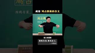 鸠占鹊巢的“鸠”到底是什么鸟？#文学常识#成语解释 #熊猫老师叫采桥# 采桥讲成语 #教育