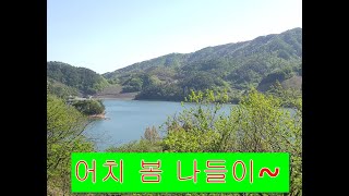 [어치 봄 나들이~^^] 계곡이 많고 사방이 병풍처럼 산으로 둘러쳐 있는 곳 가마솥에다 푹 고운 오리백숙도 많고 여름이면 휴양지로 참 좋은 곳이라고 합니다.