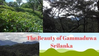 sceneries in gammaduwa Matale Srilanka