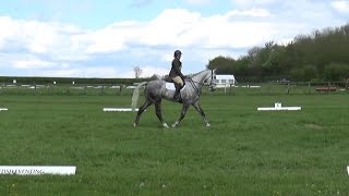 Harriet Turton and Coolatin Champ: BE90 Dressage form Horseheath