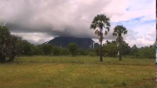 My garden in Palavoor. .. by murugan sornam