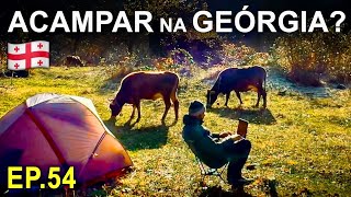 EP.54 - SAIBA COMO É ACAMPAR SELVAGEM NA GEÓRGIA, PAISAGENS E DESAFIOS DURANTE A CICLOVIAGEM.