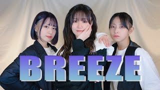 【えてろ×こぞう×林檎酢】　　BREEZ  E      踊ってみた　　【平成踊り手】