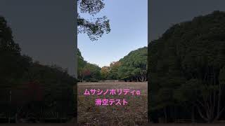 ムサシノホリディα滑空テスト