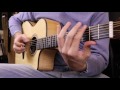 The Spider - Travis Bowman (fingerstyle guitar)