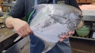 【職人技】100年続く魚河岸の有明海のマナガツオ捌き方・下処理How to prepare large fish