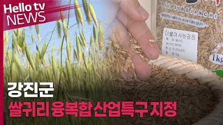 강진, 쌀귀리 융복합 산업특구 지정…농가 소득 향상 '기대'