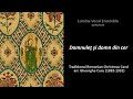 Lumina: Domnuleţ şi Domn din Cer, a traditional Romanian Christmas carol arranged by Gheorghe Cucu