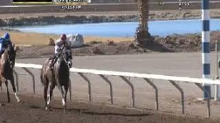 Tax Money Wins at Sunland Park 03/19/2019.mp4