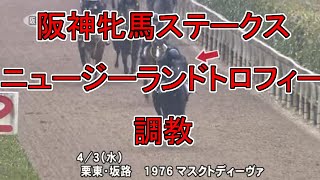 永遠の競馬初心者の阪神牝馬ステークスとニュージーランドトロフィーの調教