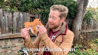 Gaspard's Den - 5. Autumn Leaves