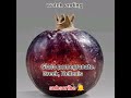 glass pomegranate. greek hellenistic period 2nd c.bc. viral trending history short