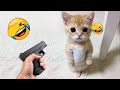 Best Funniest Animal Videos 2024🐶😻Funny Dogs And Cats Videos Of The year🤑