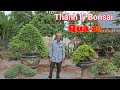 Zalo_0935725692 : Thanh lý 22 cây Bonsai đẹp giá 80tr của anh Xuân ở Đồng Nai