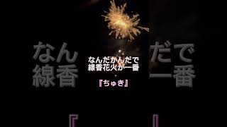 【夏の思い出づくり✨】お家で花火🎇 2023/08/02 #線香花火 #shorts