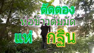 ตัดตอง ห่อข้าวต้ม แห่ กฐิน 17/11/2561