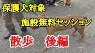 保護犬対象 施設無料セッション(後編) Animal Rescue Nursing