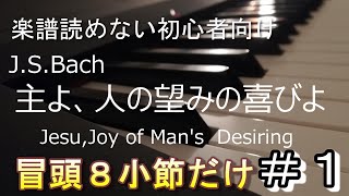 バッハ「主よ、人の望みの喜びよ」の冒頭8小節だけ：ピアノゆっくり練習#１：楽譜読めない初心者向け