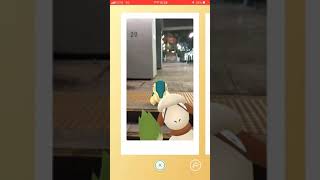 Pokemon go 如何捕捉 圖圖犬 （第二集）