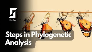 Steps in Phylogenetic analysis || Phylogenetics lesson #4 || Scoolya