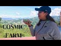 COSMIC FARM//Caban La Trinidad Benguet//Organic Farming