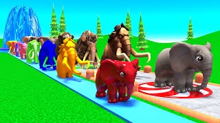 Paint Animals Mammoths and Elephants Size Comparison Fountain Crossing Animal Game Transformation