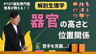 【解剖生理学】器官の高さと位置関係まとめ動画 | 理学療法士作業療法士国家試験予備校鰐部ゼミナール