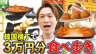 【大食い】新大久保企画第2弾‼️韓国横丁で過去最高の3万円分食べ尽くせ！【ぞうさんパクパク】【韓国横丁】【新大久保】