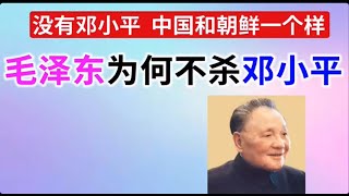 袁腾飞-为何毛泽东不杀邓小平？中国历史可能就此更改#中國 #歷史 #china #毛澤東 #习近平