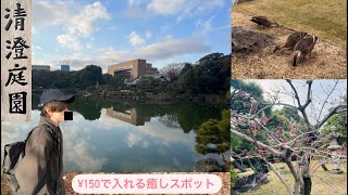 【清澄白河】江東区にある名勝！『清澄庭園』を散策してみた【三菱財閥の遺産】