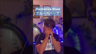 #ハーモニカブルース　#harmonica #ハーモニカ #ブルースハープ #collyのハーモニカ ＃blues ＃オリジナル