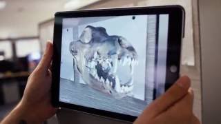 Augmented reality demonstration | Oregon State Ecampus